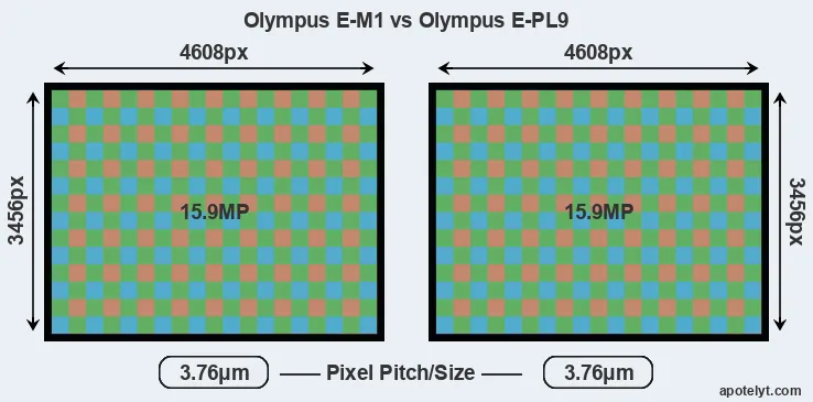 E-M1 versus E-PL9 MP