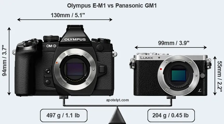 Size Olympus E-M1 vs Panasonic GM1