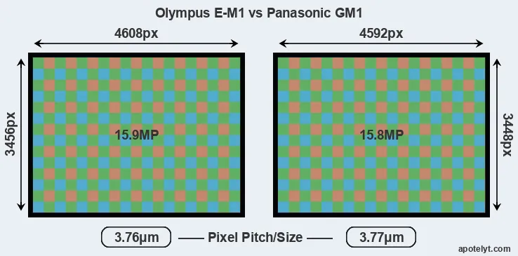 E-M1 versus GM1 MP