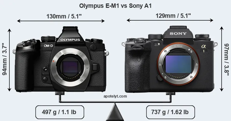 Size Olympus E-M1 vs Sony A1