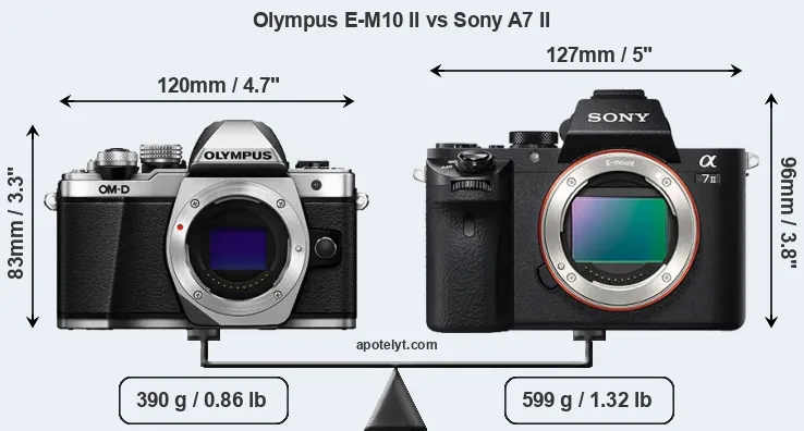 Size Olympus E-M10 II vs Sony A7 II