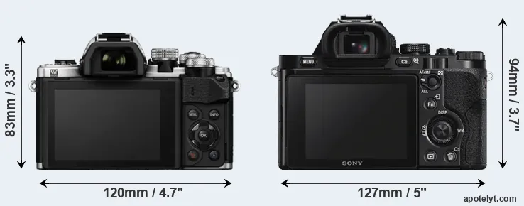 Comparison E-M10 II or A7S rear