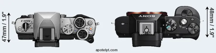 Compare E-M10 II versus A7S top