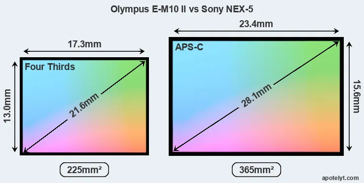 Olympus E-M10 II and Sony NEX-5 sensor measures