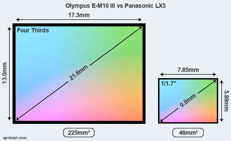 Olympus E-M10 III and Panasonic LX5 sensor measures