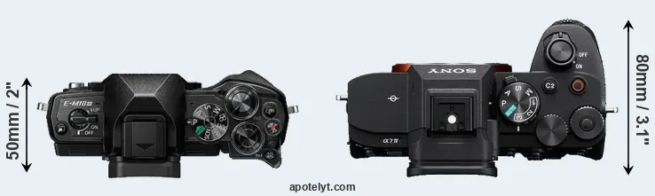 Compare E-M10 III versus A7 IV top