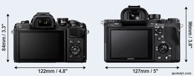 Comparison E-M10 III or A7S II rear