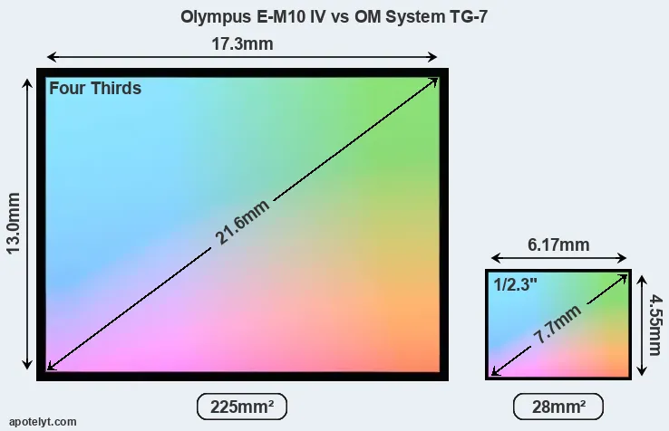 Olympus E-M10 IV and OM System TG-7 sensor measures