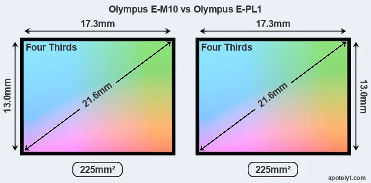 Olympus E-M10 and Olympus E-PL1 sensor measures