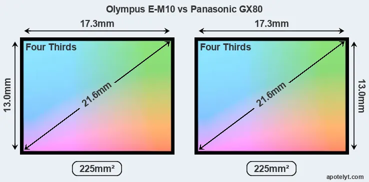 Olympus E-M10 and Panasonic GX80 sensor measures