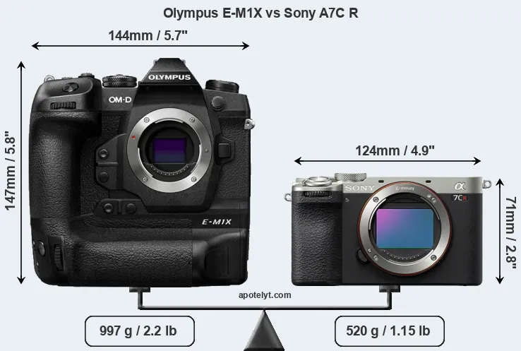 Size Olympus E-M1X vs Sony A7C R