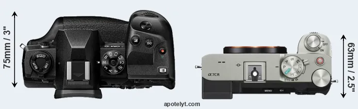 Compare E-M1X versus A7C R top