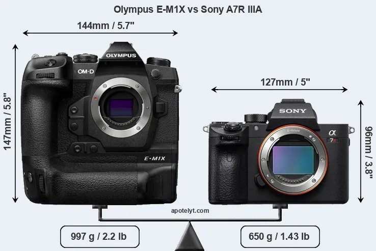 Size Olympus E-M1X vs Sony A7R IIIA