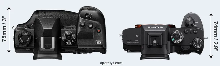 Compare E-M1X versus A7R IIIA top