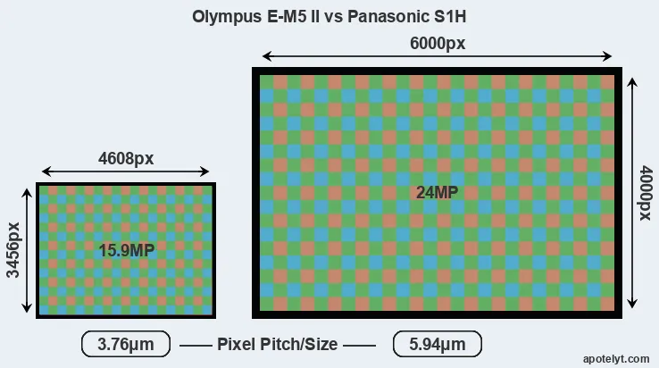 E-M5 II versus S1H MP