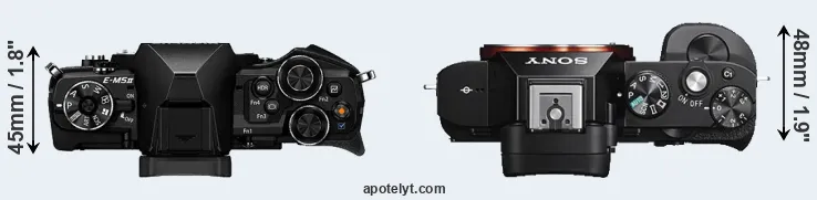 Compare E-M5 II versus A7S top