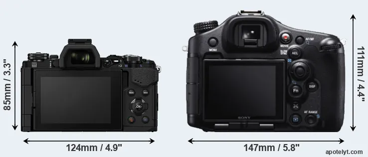 Comparison E-M5 II or A99 rear