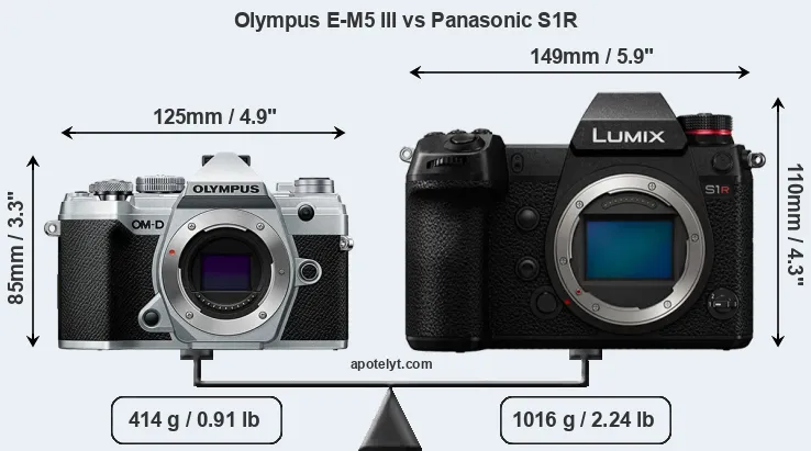 Size Olympus E-M5 III vs Panasonic S1R