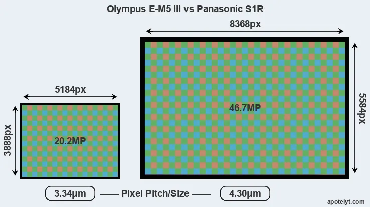 E-M5 III versus S1R MP