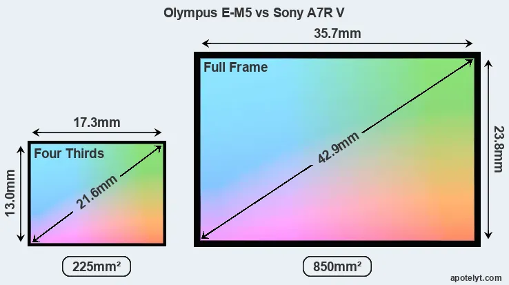 Olympus E-M5 and Sony A7R V sensor measures