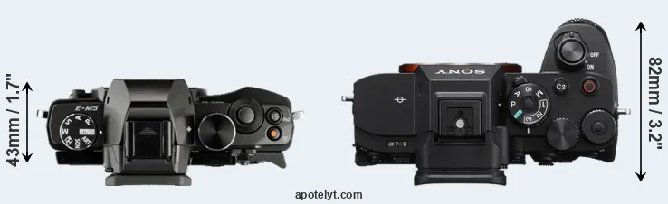 Compare E-M5 versus A7R V top