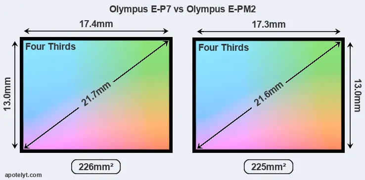 Olympus E-P7 and Olympus E-PM2 sensor measures