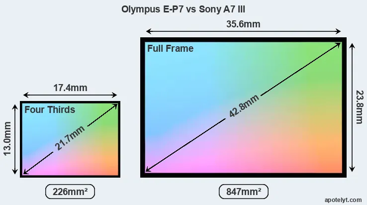 Olympus E-P7 and Sony A7 III sensor measures