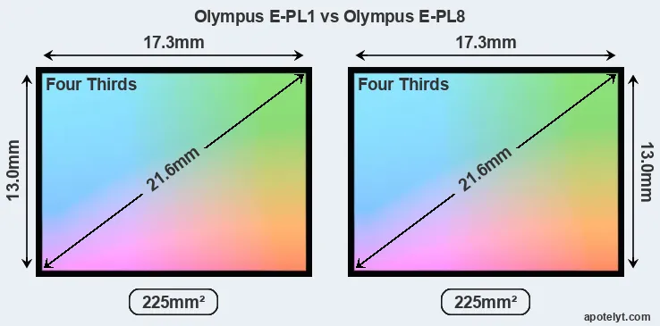 Olympus E-PL1 and Olympus E-PL8 sensor measures