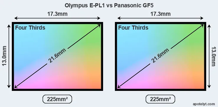 Olympus E-PL1 and Panasonic GF5 sensor measures