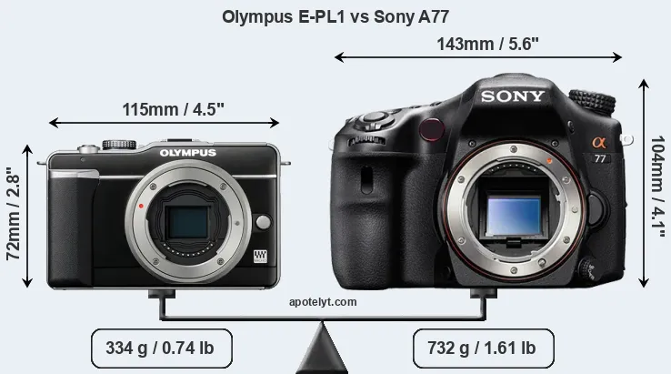 Size Olympus E-PL1 vs Sony A77
