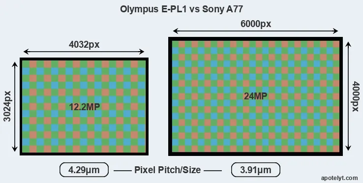 E-PL1 versus A77 MP