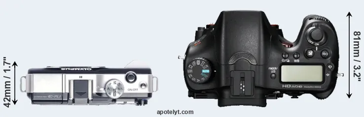 Compare E-PL1 versus A77 top
