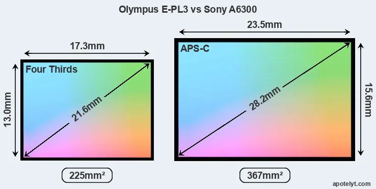 Olympus E-PL3 and Sony A6300 sensor measures
