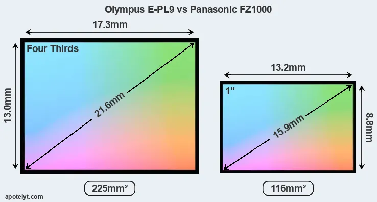 Olympus E-PL9 and Panasonic FZ1000 sensor measures