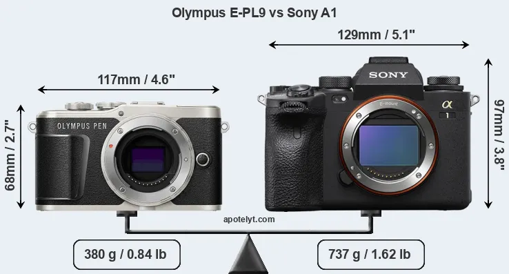 Size Olympus E-PL9 vs Sony A1