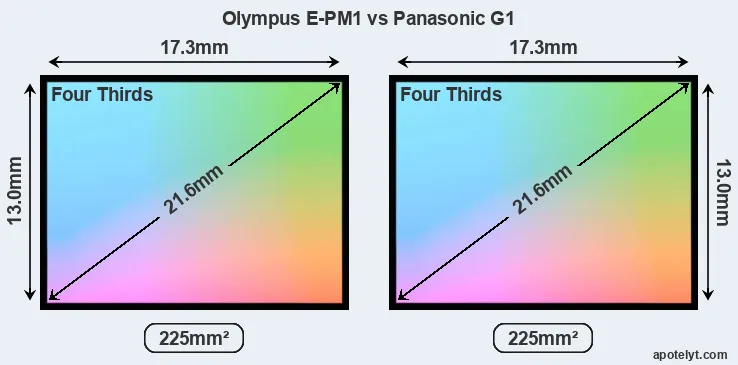 Olympus E-PM1 and Panasonic G1 sensor measures