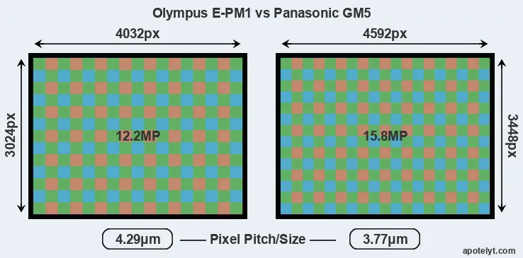 E-PM1 versus GM5 MP
