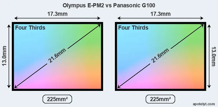 Olympus E-PM2 and Panasonic G100 sensor measures