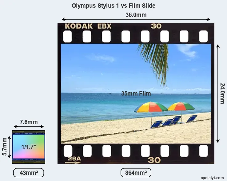 Olympus Stylus 1 and Credit Card sensor measures
