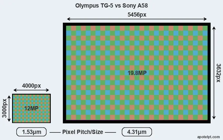 TG-5 versus A58 MP