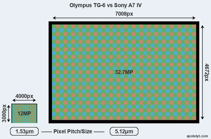 TG-6 versus A7 IV MP