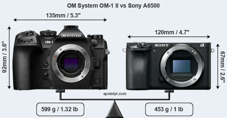 Size OM System OM-1 II vs Sony A6500