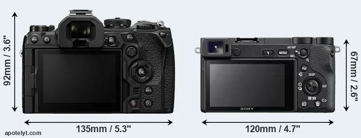 Comparison OM-1 II or A6500 rear