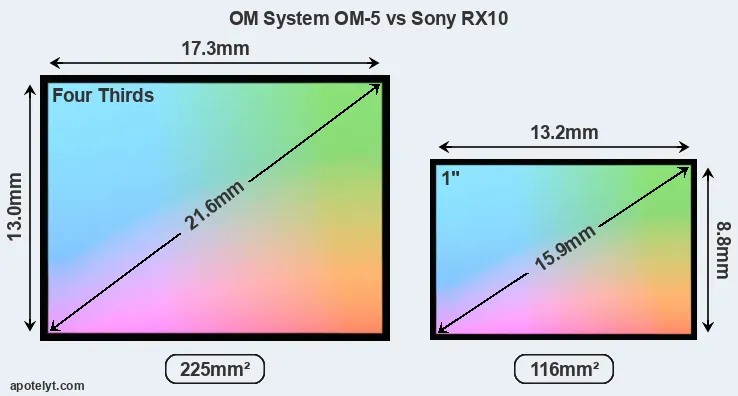 OM System OM-5 and Sony RX10 sensor measures