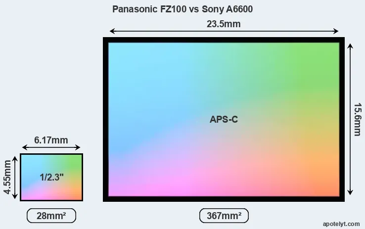 Panasonic FZ100 and Sony A6600 sensor measures