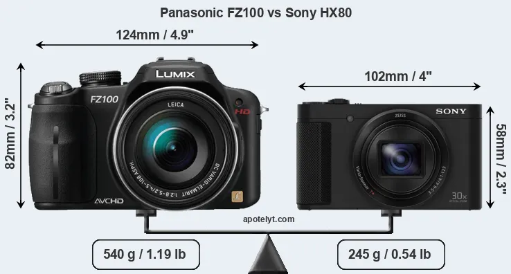 Size Panasonic FZ100 vs Sony HX80