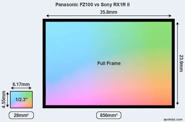 Panasonic FZ100 and Sony RX1R II sensor measures