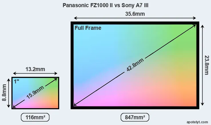 Panasonic FZ1000 II and Sony A7 III sensor measures