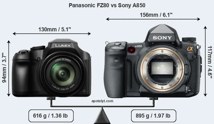 Size Panasonic FZ80 vs Sony A850