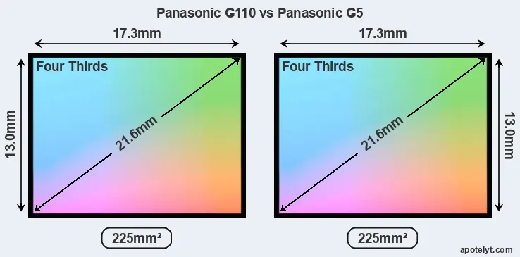Panasonic G110 and Panasonic G5 sensor measures